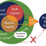 Regulation and Social Capital. Author Goran Sumkoski, Journal of Social and Economic Development, August 2018, pp.1-22